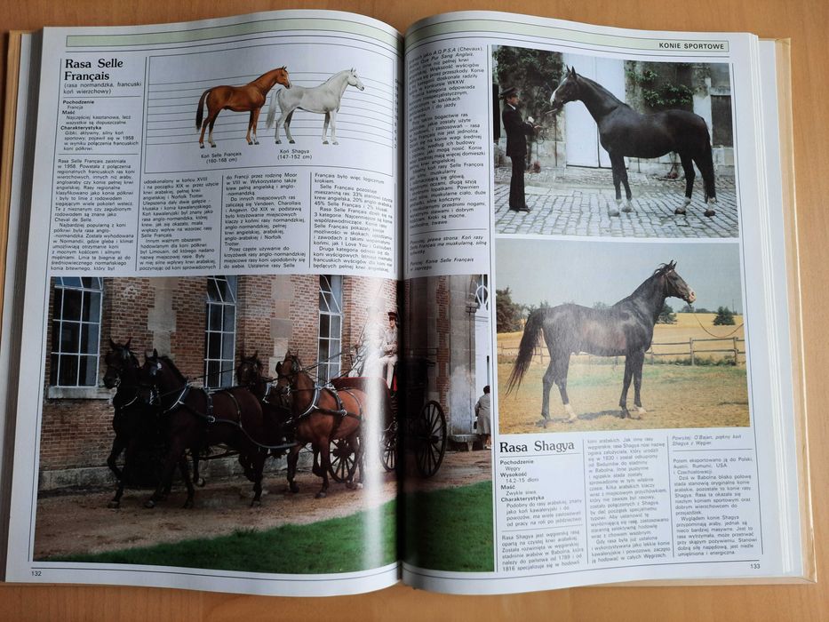 Książka "Konie - Ilustrowana Encyklopedia" - Jane Kidd - stan bdb