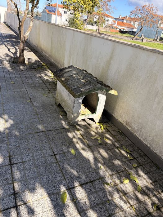 Casota cao cimento - gratis