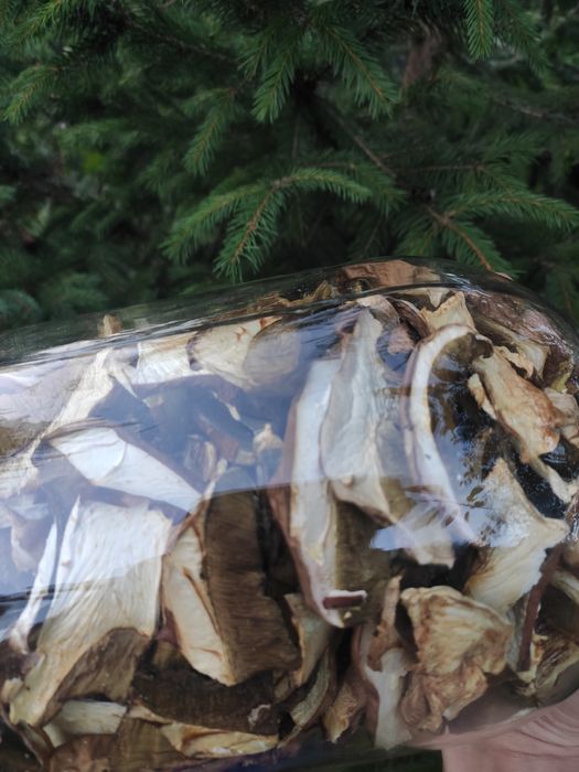 Гриби сушені Білі 2024, мариновані