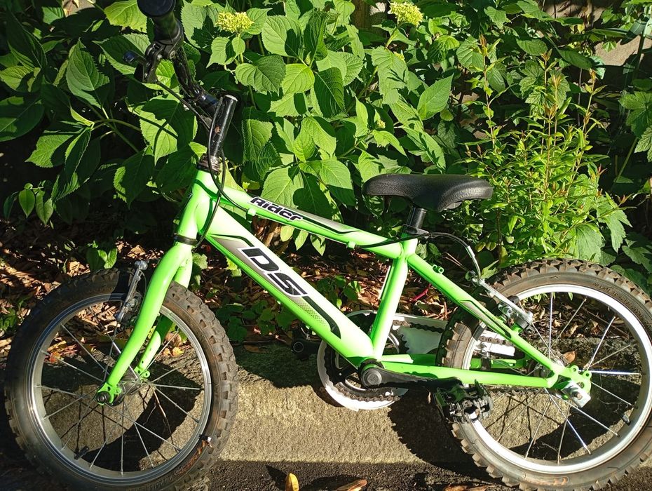 Bicicleta para criança (aprendizagem)