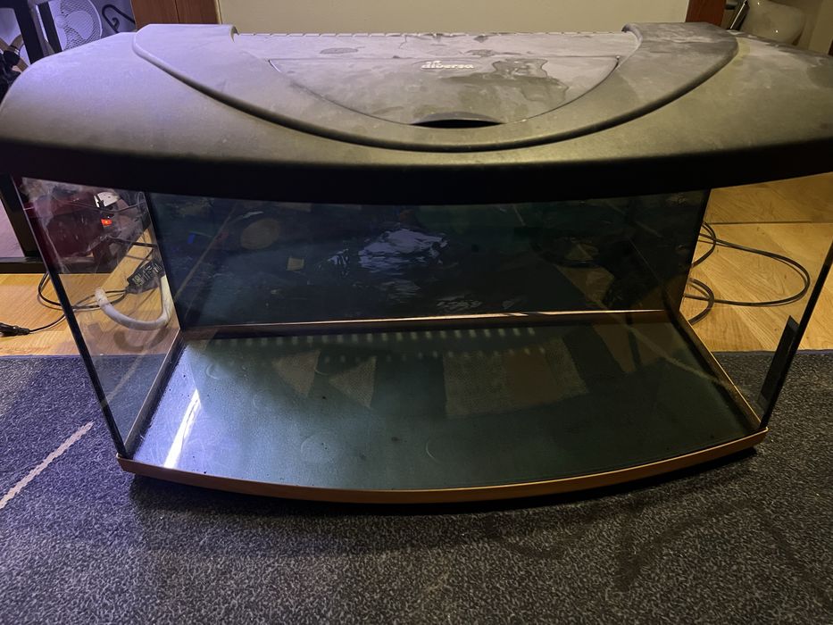 Akwarium panoramiczne z pokrywą