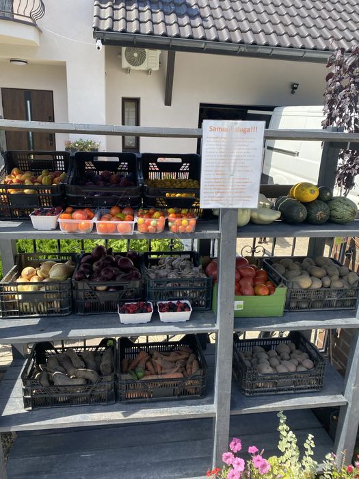 Ekologiczne warzywa i owocowe z poletka w Mirkowie ul. Kalinowa 3A