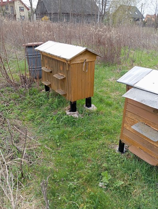 Ule warszawskie poszerzane