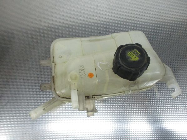 Vaso Expansao / Radiador RENAULT Scénic III (JZ0/1_)