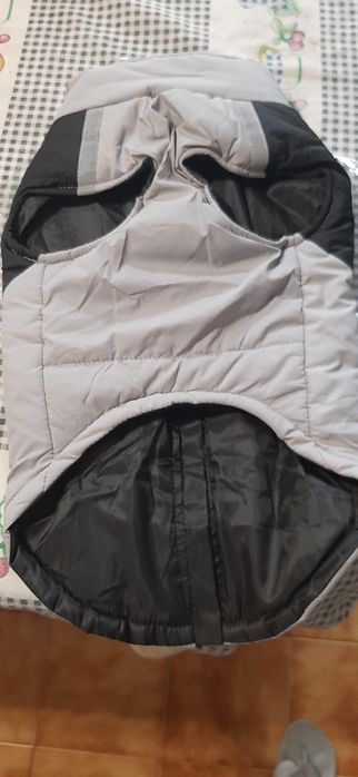 Casaco para cão novo.