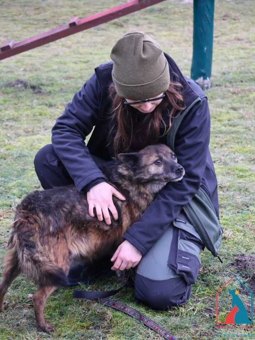 Bardzo przyjazny, fajny, nieduży piesek Wacław szuka domu. Adoptuj!