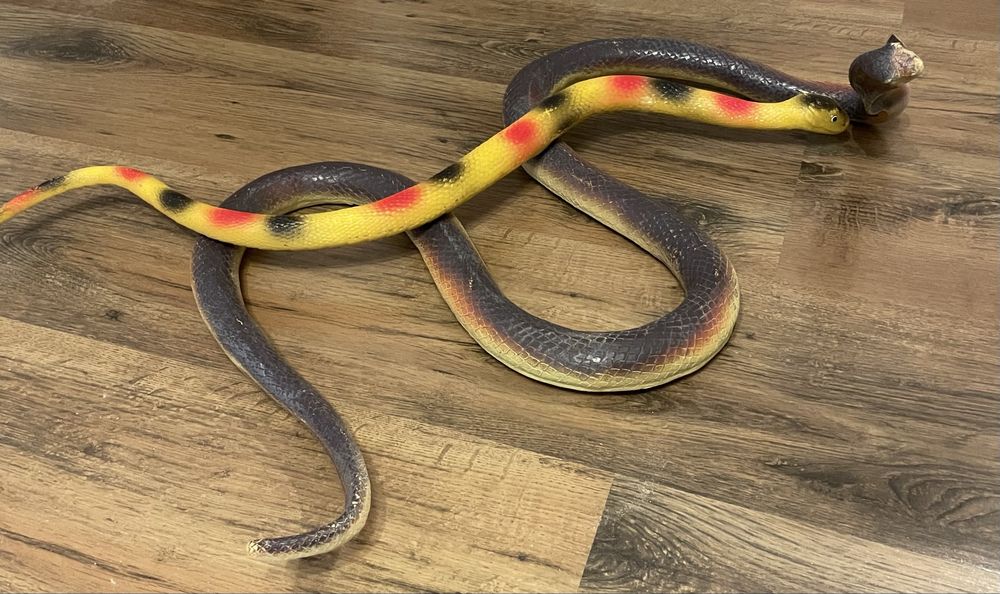 Zabawki gumowe węże