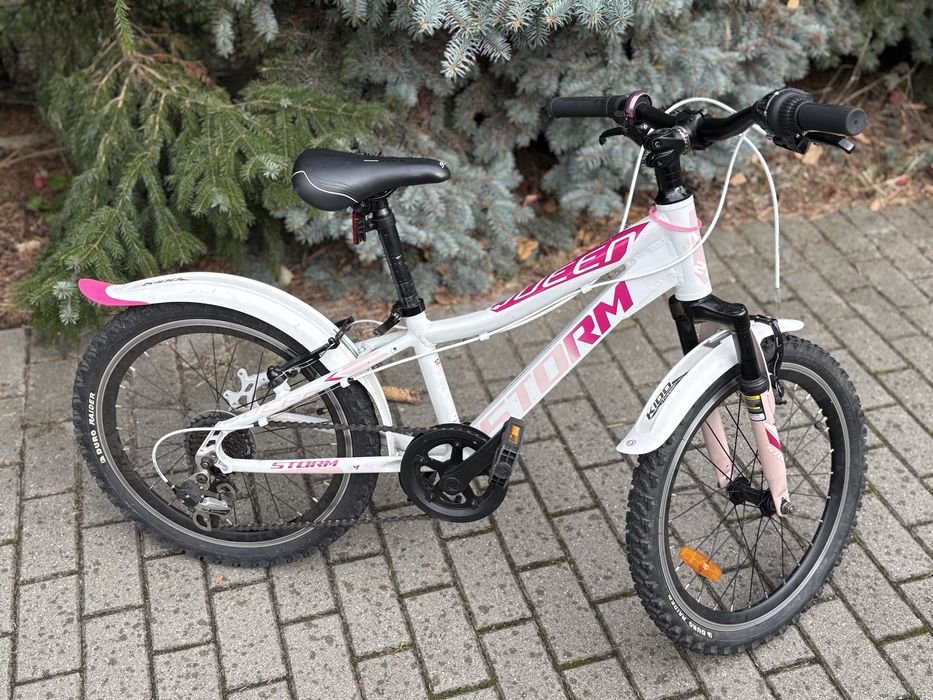 Rower Storm dziecięcy, rama 10 cali, koła 20