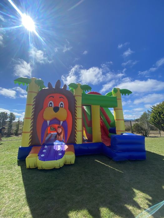 Insuflavel leão - venda