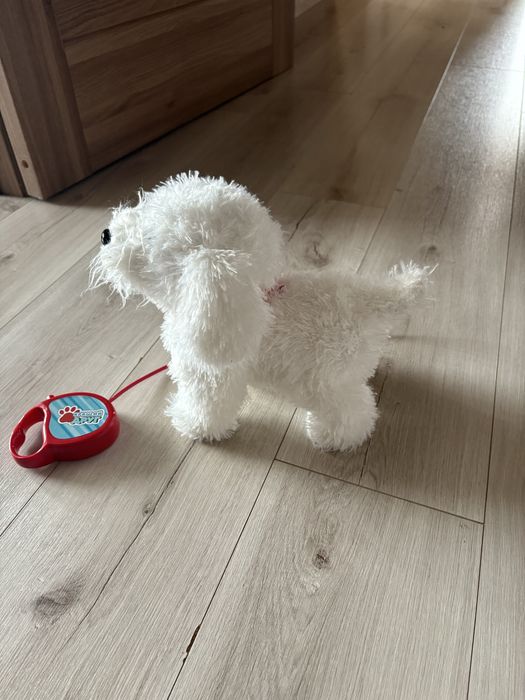 Собачка яка ходить гавкає на повідку