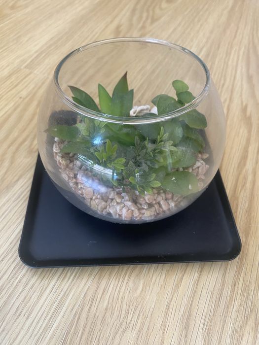 Vaso decorativo agave