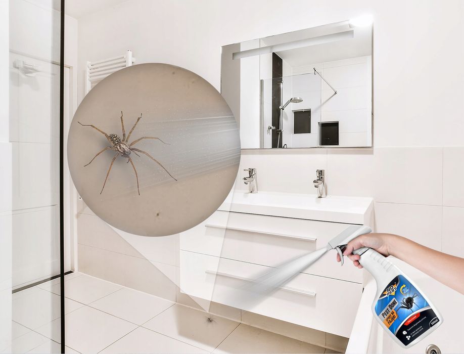 Preparat, środek, spray na pająki No Pest® Pest Done. Areozol 500ml