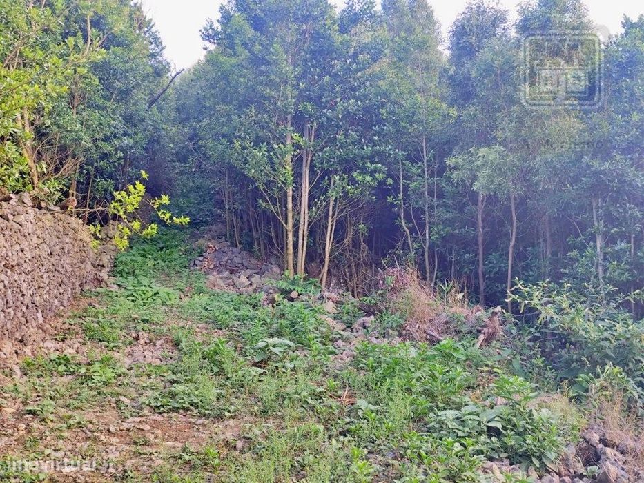 TERRENO para VENDA - São Vicente Ferreira, Ponta Delgada, Ilha de S...