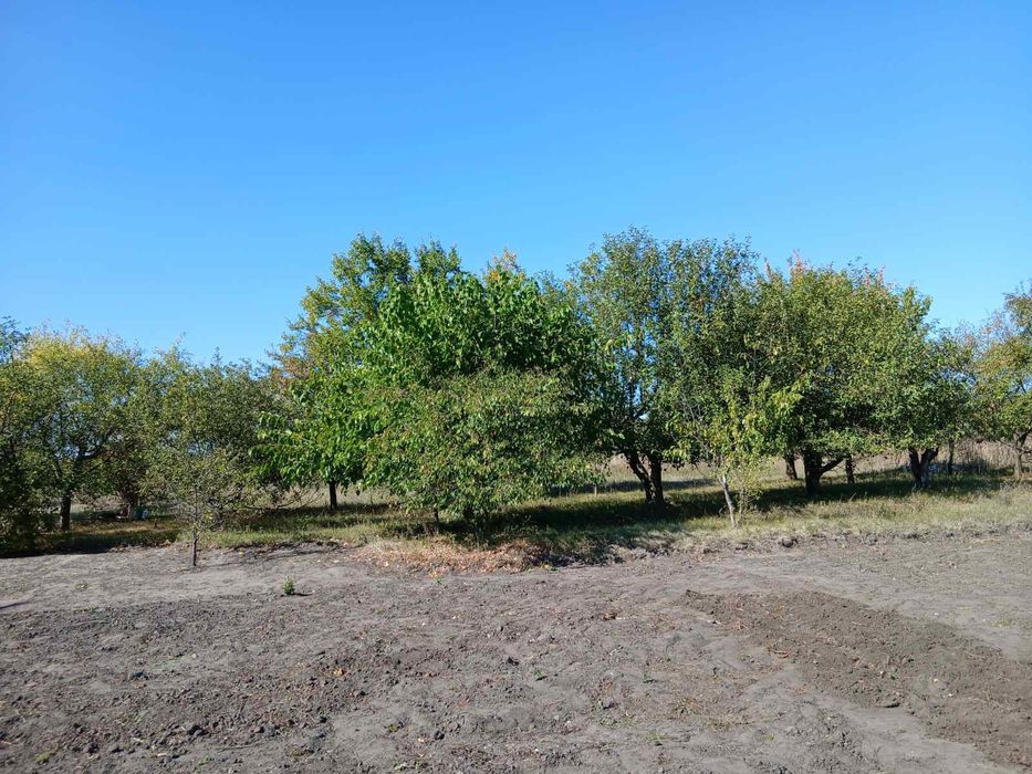 Земельна ділянка 0,012га Царичанка с/т Будівельник