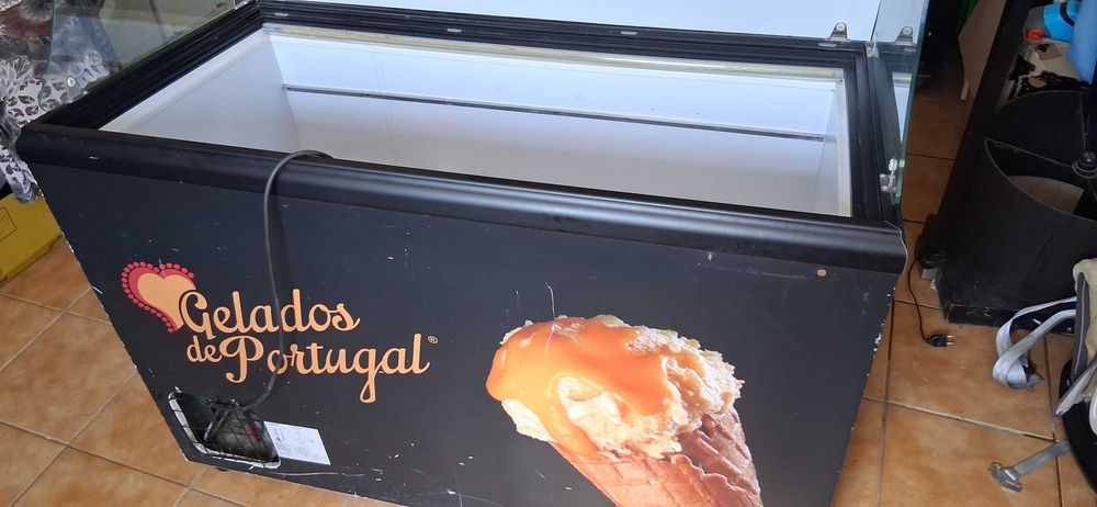 Arca Exposição Gelados
