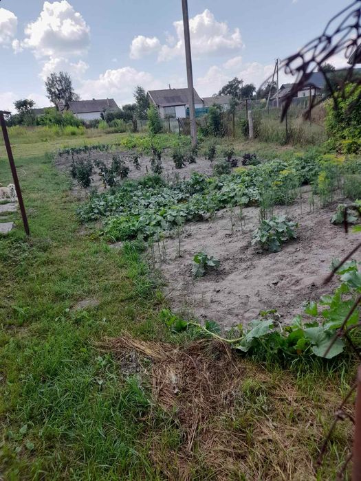 Продається частина будинку в центрі села Пряжів, вул. Шевченка, 112 (10 км від Житомира)!