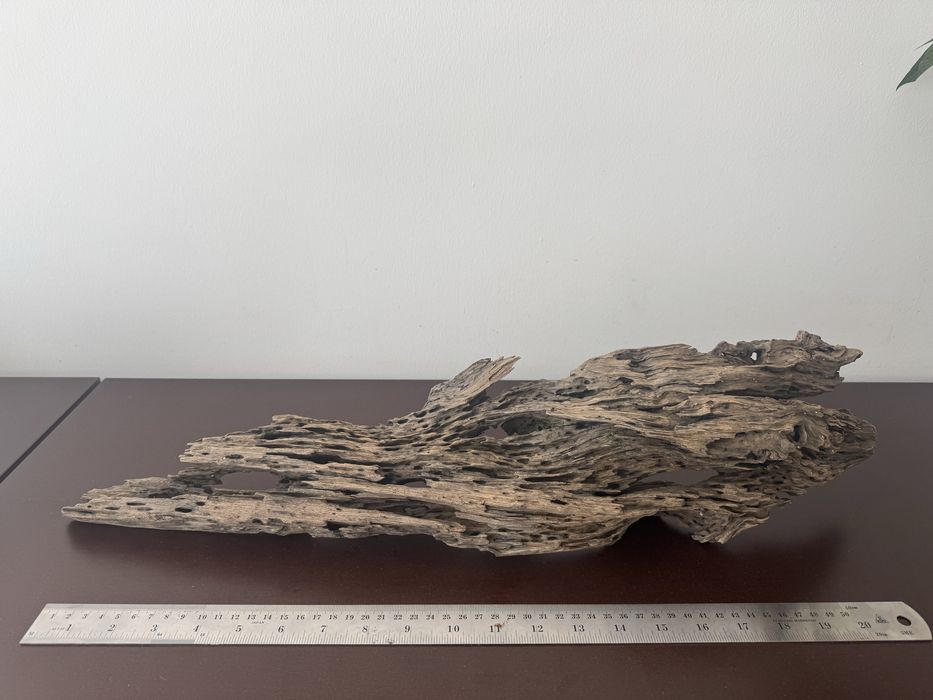Tronco natural XXL para aquário (61 cm)