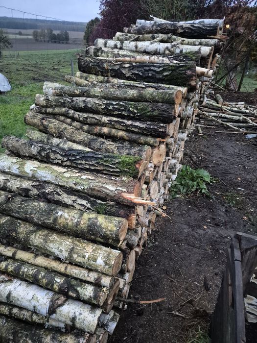 Sprzedam drewno- Brzoza, Sosna i Olcha