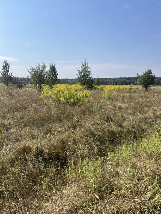 Продаж земельної ділянки 23 соток!