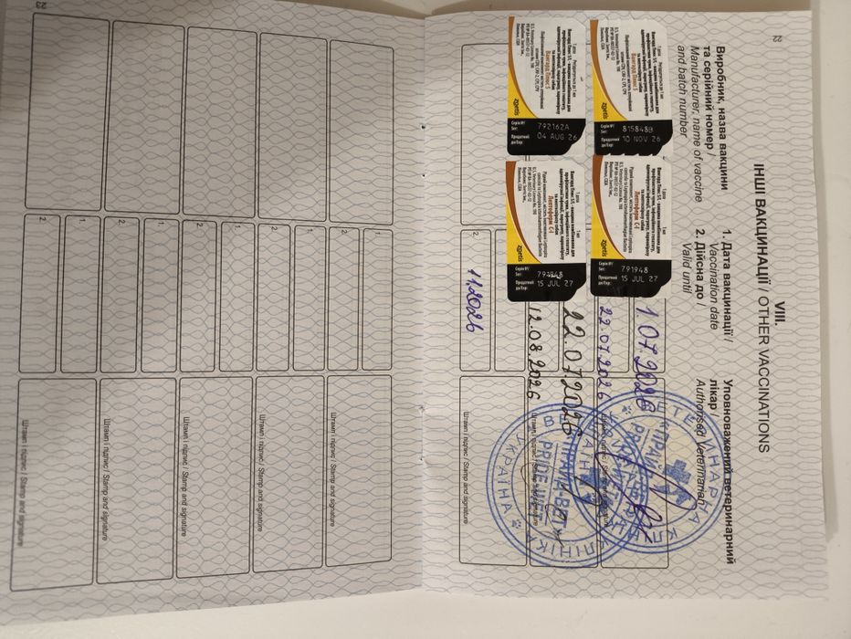 Продам пуєделя міні
