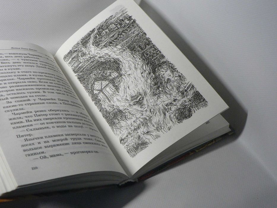 Джонс Д. Дом с характером