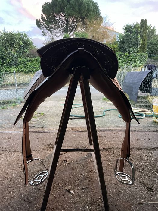 Cela á portuguesa nova