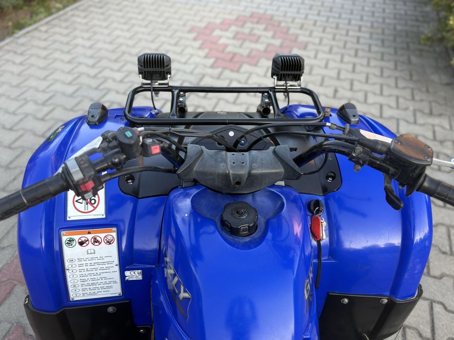 Yamaha grizzly 125