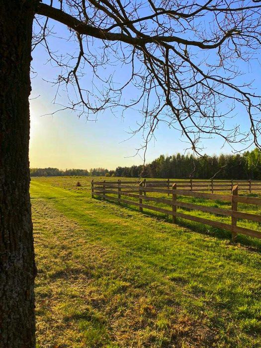 Działka rekreacyjno-budowlana, 1000 m2, Puszcza Stromiecka
