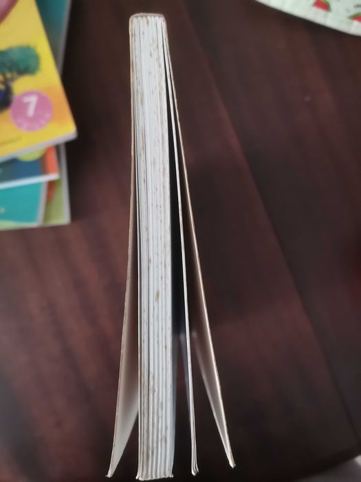 Livro O Cavalo da Lua Cheia