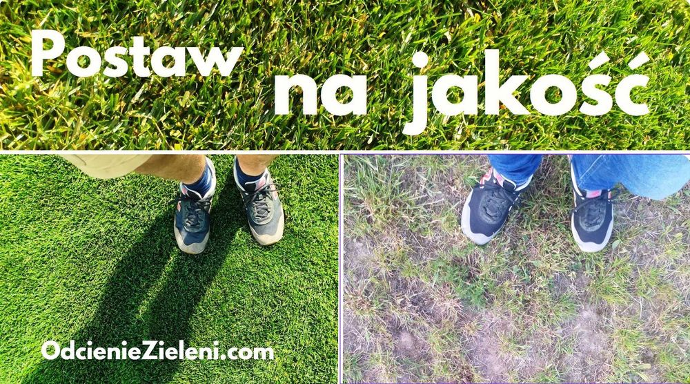 Ogrody Projektowanie i Realizacja