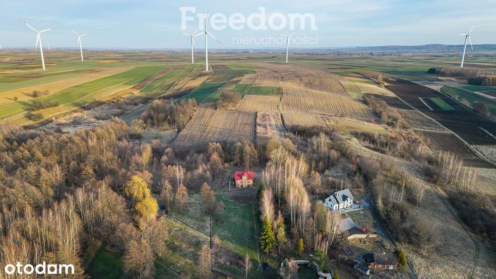 Dom 102 m² do remontu – Wysoka,