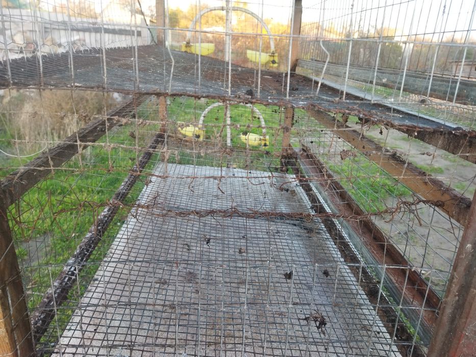 Клетка для перепелов