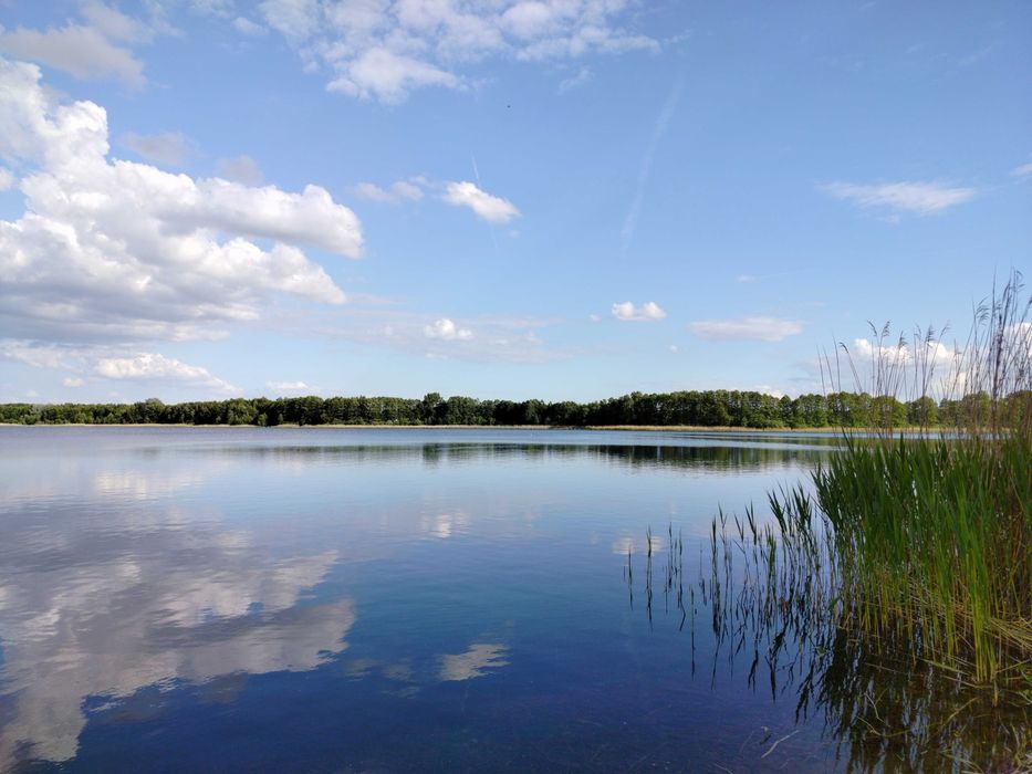 Działkę rekreacyjna nad jeziorem