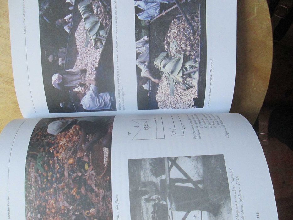 Cacau: Tecnologia pós-colheita. de José E. Mendes Ferrão