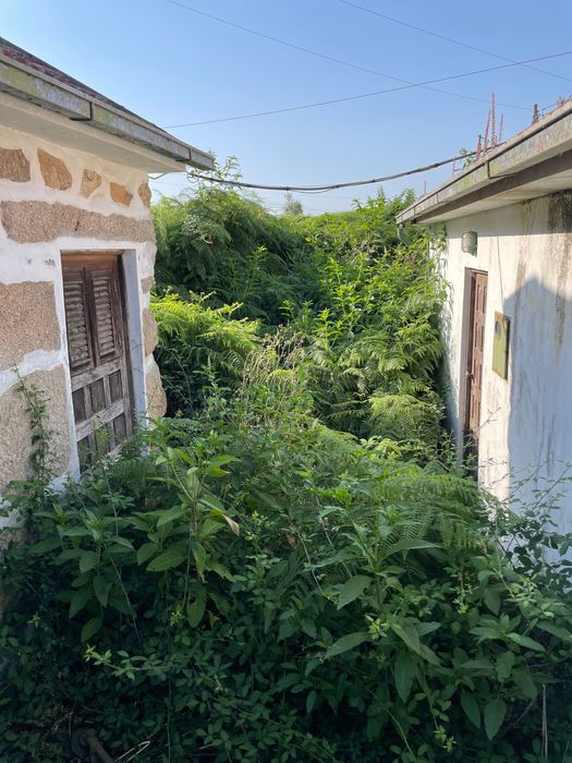 Jardinagem e manutenção