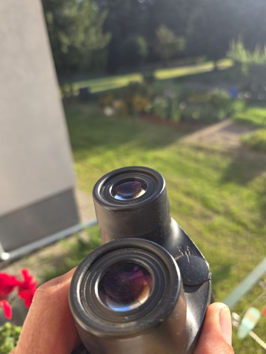 Lornetka Zeiss Victory 8x56 B TP