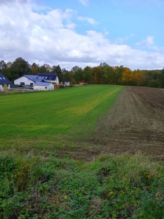 Koźlice Działki budowlane 4000m2