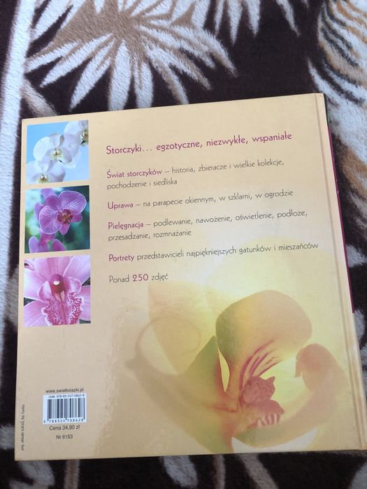 Joachim Erfkamp Storczyki