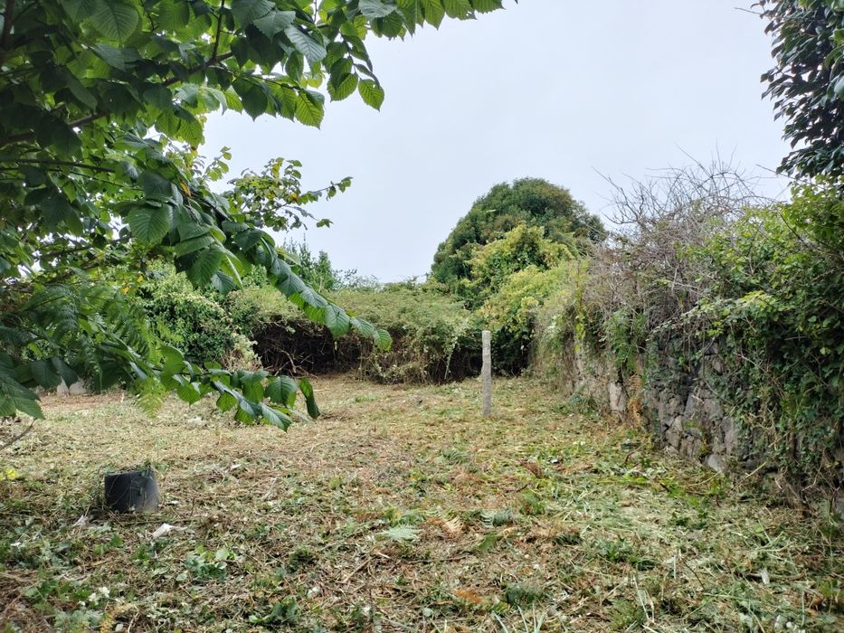 Limpeza de terrenos mato e jardins