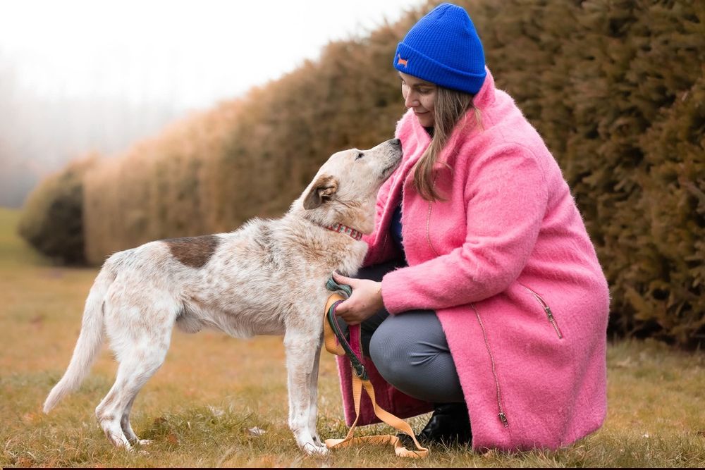 Tutti - sympatyczny, proludzki i wesoły psiak