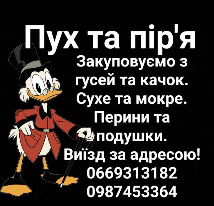 Пір'я та пух. Перини та подушки.
