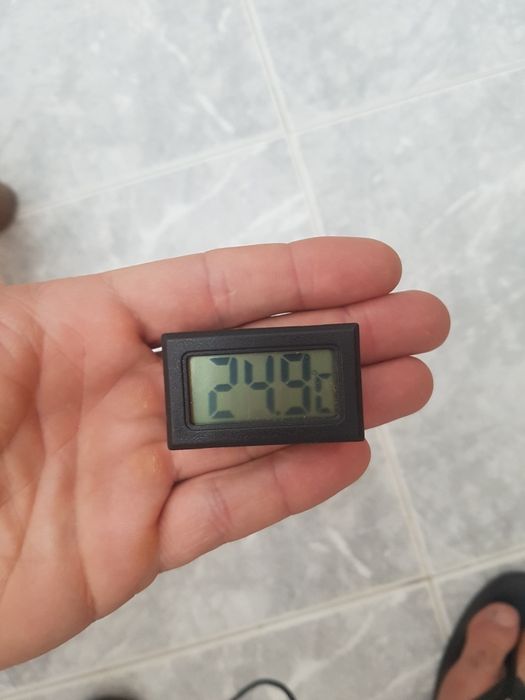 Sensor de temperatura, termômetro digital