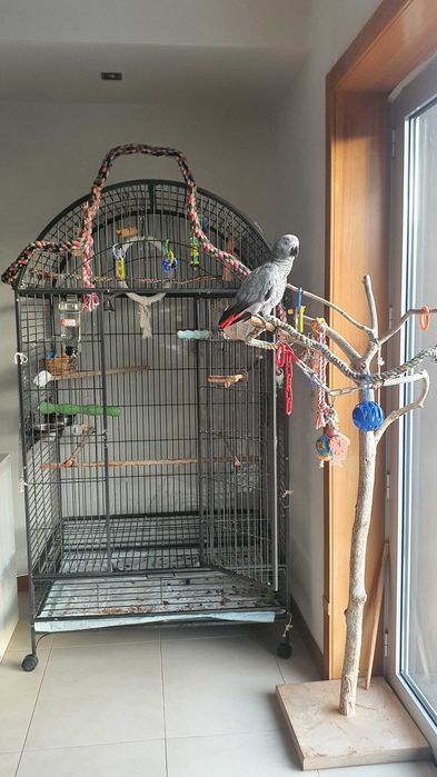 Gaiola de Papagaio ou arara, como nova