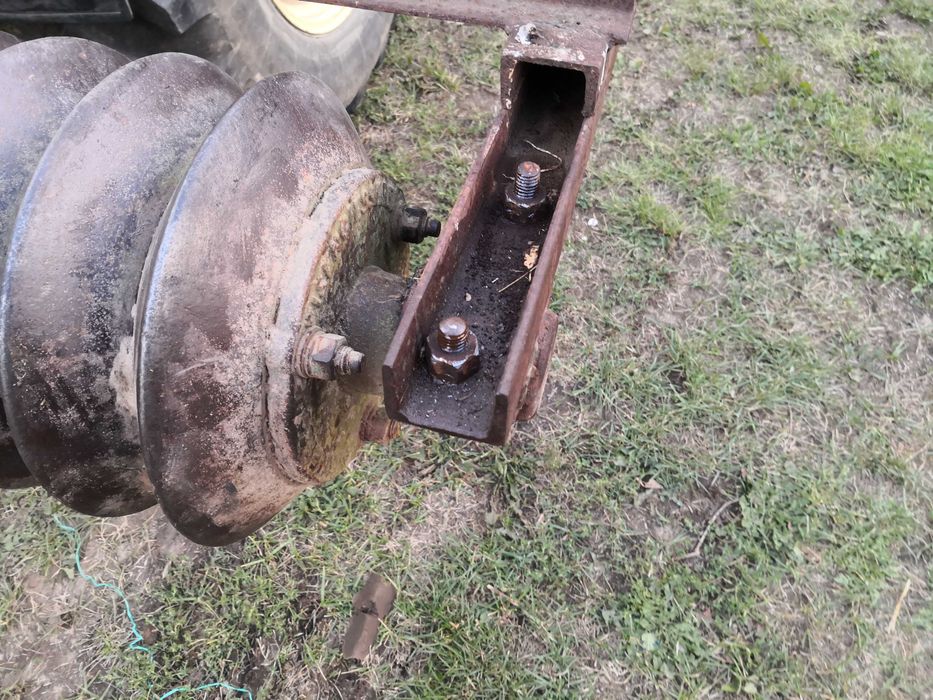 Waly posiewne strunowe