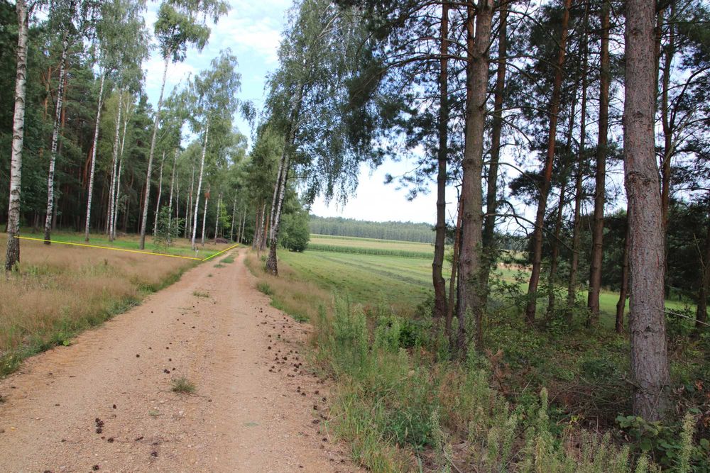 Działka budowlana z własnym lasem - cisza, spokój - warunki zabudowy