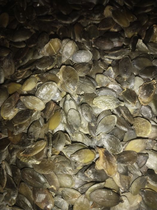 Зернята Голонасінних гарбузів