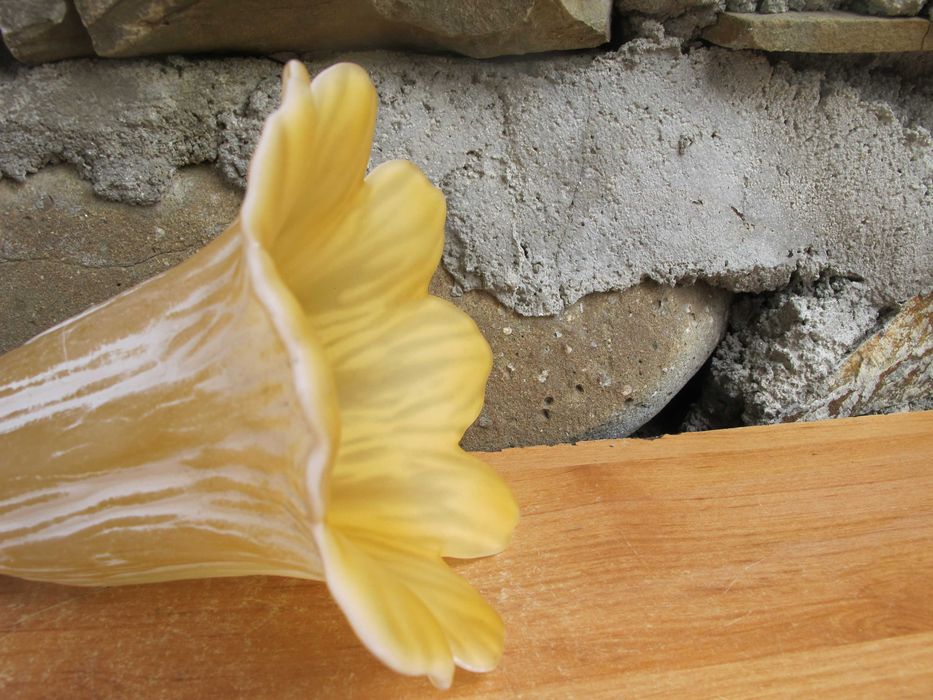 Duży Szklany klosz do żyrandoli_ kinkietu_KWIATEK_E 14