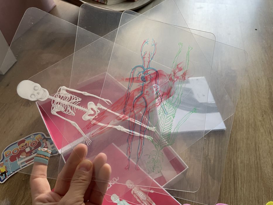 Biblioteczka Montessori Ciało człowieka Egmont