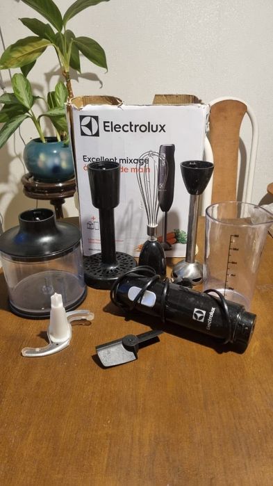 Блендер з насадками electrolux