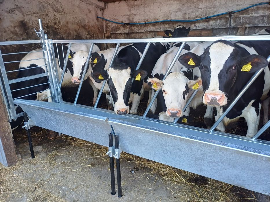 Wygrodzenia przegrody dla bydła